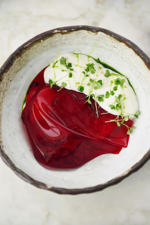 a close up of a bowl of food on a table, inspired by Barthélemy Menn, maroon red, jelly, herbs, yogurt