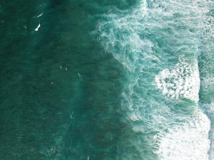 a group of people riding surfboards on top of a body of water, pexels contest winner, minimalism, birdseye view, cresting waves and seafoam, manly, o'neill cylinder colony