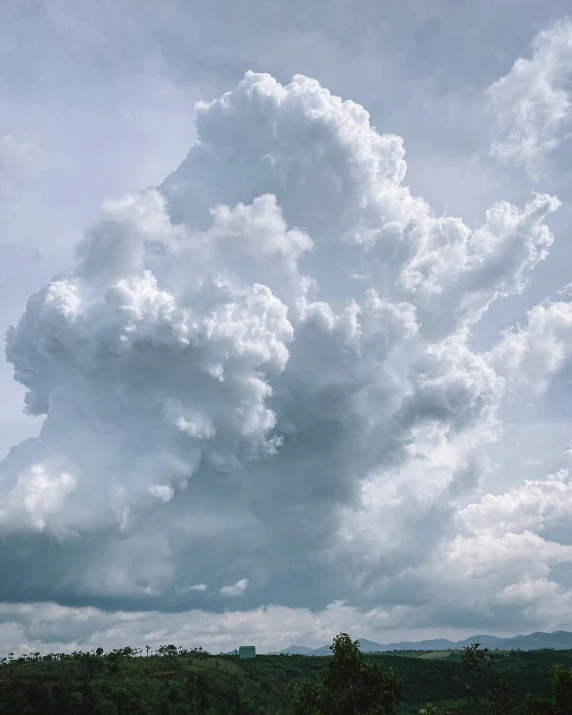 a herd of cattle standing on top of a lush green field, unsplash contest winner, romanticism, giant cumulonimbus cloud, a dragon made of clouds, snapchat photo, ilustration