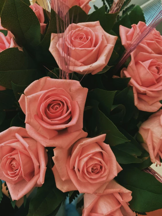 a bouquet of pink roses in a blue vase, by Robbie Trevino, trending on unsplash, beautiful detail, slightly tanned, pink and orange, in style of petra collins