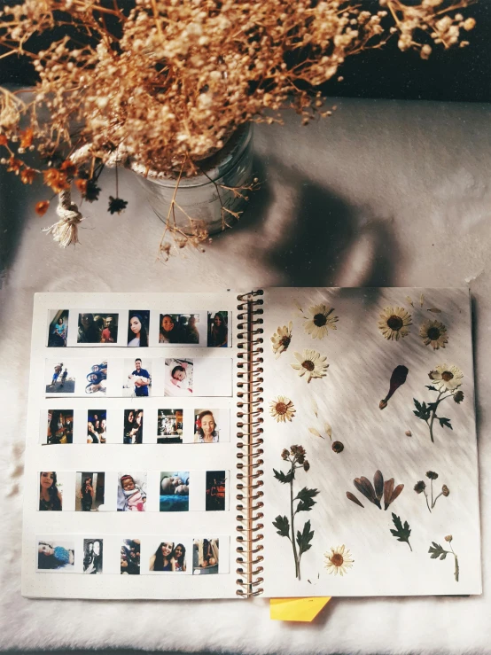 a book sitting on top of a table next to a vase of flowers, a polaroid photo, by Lucia Peka, trending on unsplash, process art, planner stickers, beautiful faces aesthetic, made of dried flowers, 1990's photo