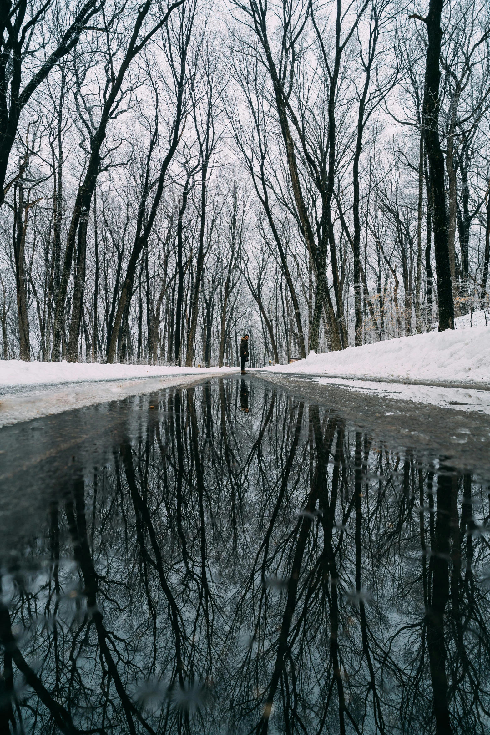 a reflection of trees in a puddle of water, inspired by Pierre Pellegrini, unsplash contest winner, romanticism, walking on ice, long shot kodak portra 4 0 0, lozhkin, wide film still