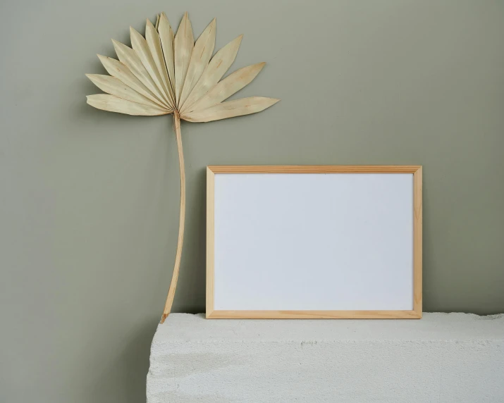 a picture frame sitting on top of a shelf next to a plant, by Marion Ancrum, postminimalism, whiteboard, relaxed. gold background, palm skin, light wood