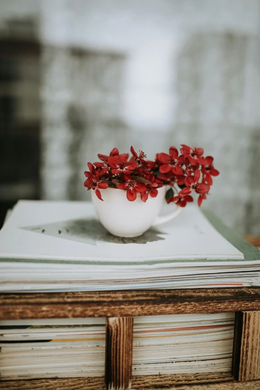 a stack of books sitting on top of a wooden table, red flowers, white mug, monochromatic red, botanical photo