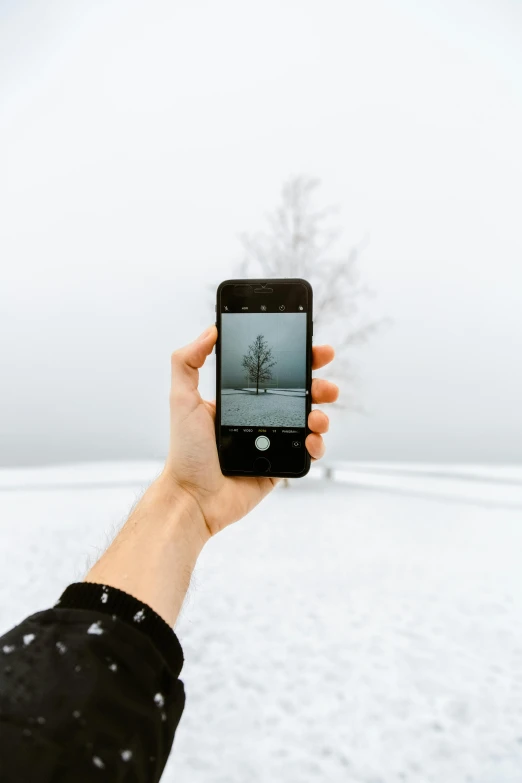a person taking a picture of a tree in the snow, mobile learning app prototype, minimalist photo, holding it out to the camera, trending photo