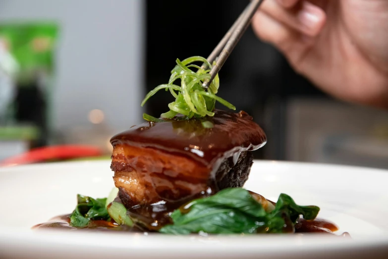 a close up of a plate of food with chopsticks, chef platypus, profile image, pork, lachlan bailey