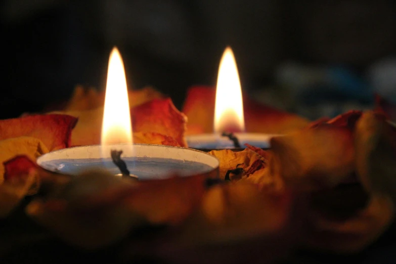 a couple of candles sitting on top of a pile of leaves, pixabay, hurufiyya, floating candles, luminous fire halo, deep colour, autumn light