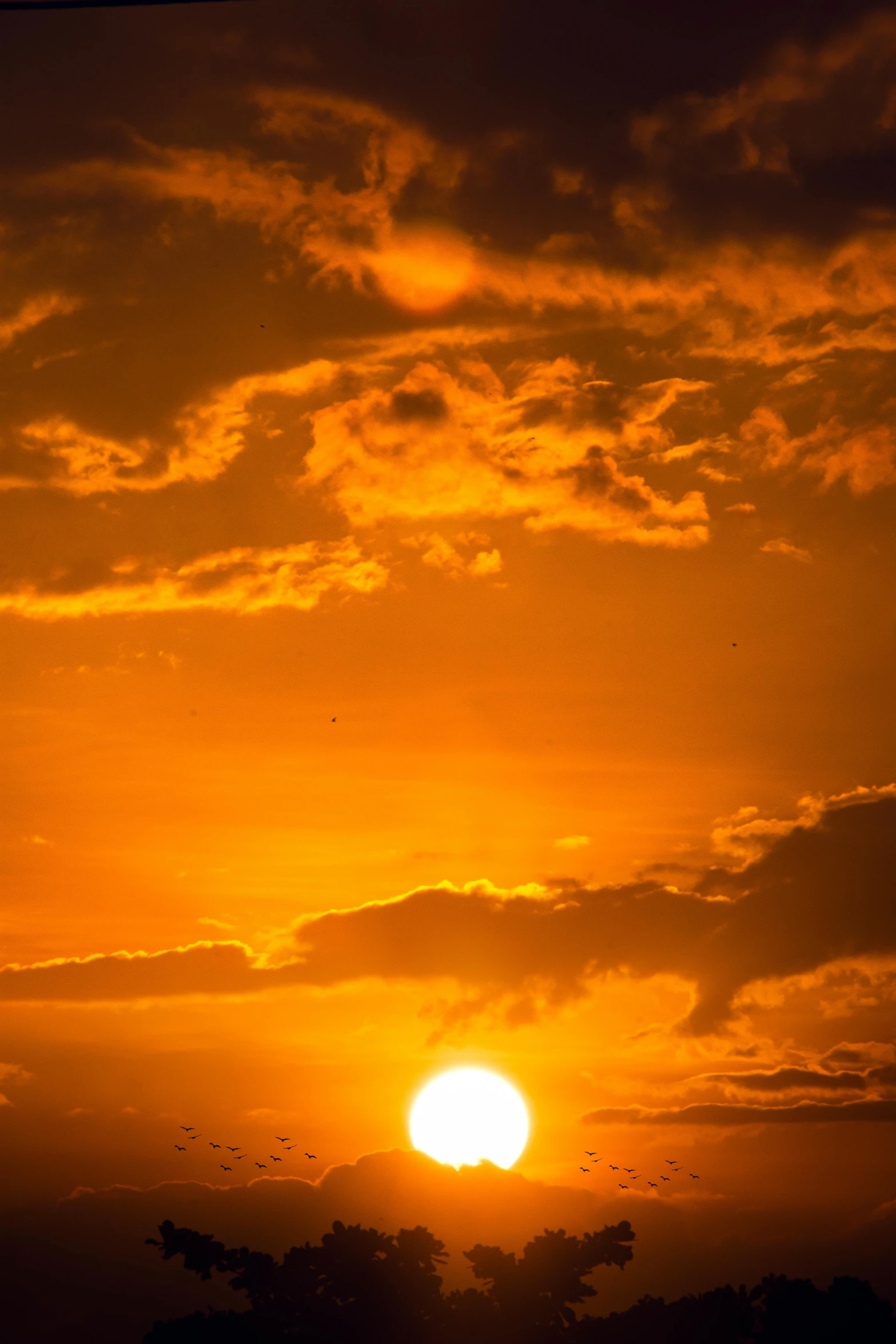 the sun is setting behind the clouds in the sky, by Dave Melvin, happening, bright yellow and red sun, suns, world, f / 2 0