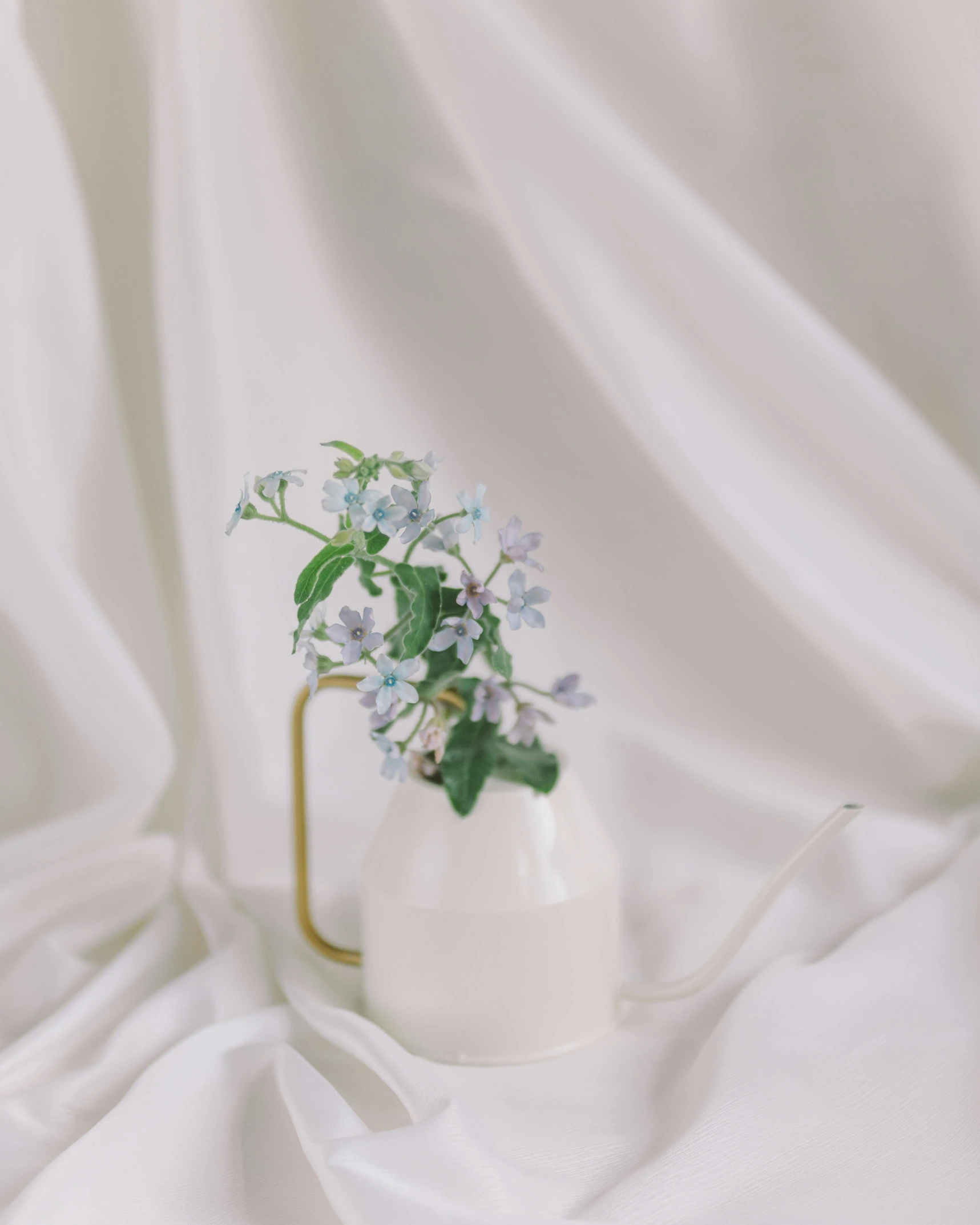 a white vase with some blue flowers in it, unsplash, miniature product photo, thin gold details, no watermark, image