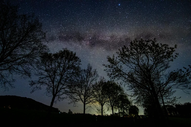 a night sky filled with stars and trees, by Peter Churcher, light and space, stars and planets visible, looking towards camera, amanda lilleston, taken with sony alpha 9