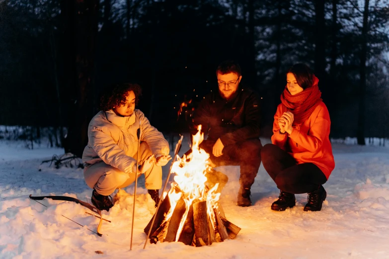 a group of people sitting around a fire in the snow, profile image, forest picnic, australian winter night, item