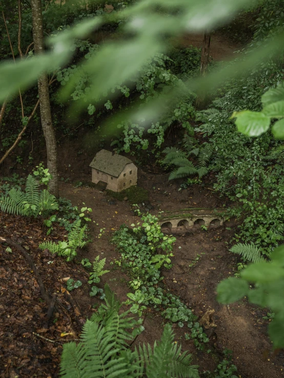 a bench sitting in the middle of a forest, by Elsa Bleda, renaissance, detailed clay model, hobbit hole, drone wide shot, taken with sony alpha 9