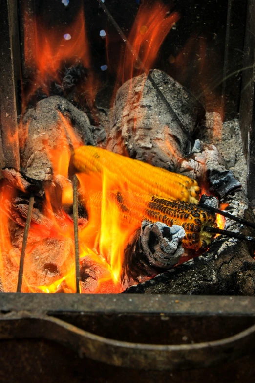 a close up of a fire in a grill, by Gwen Barnard, renaissance, corn on a cob everywhere, cosy fireplace, performance, photograph taken in 2 0 2 0