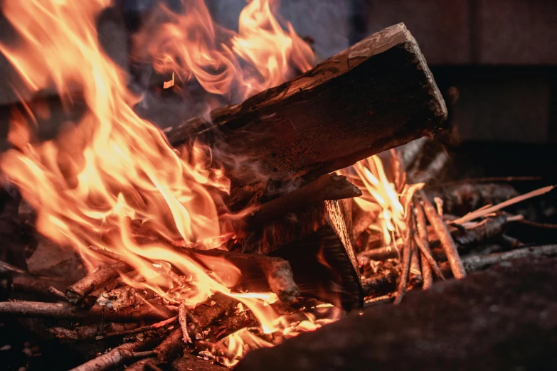 a pile of wood sitting on top of a fire, pexels contest winner, renaissance, avatar image, hot food, profile image, opening shot