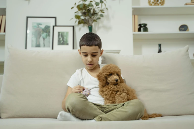 a young boy sitting on a couch holding a teddy bear, pexels, brown curly hair, small dog, animation, decoration