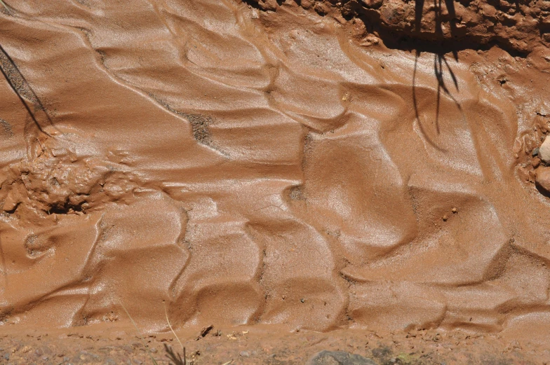 a bird that is standing in the mud, by Lee Loughridge, unsplash, land art, uluru, fingerprints on clay, chocolate river, thumbnail