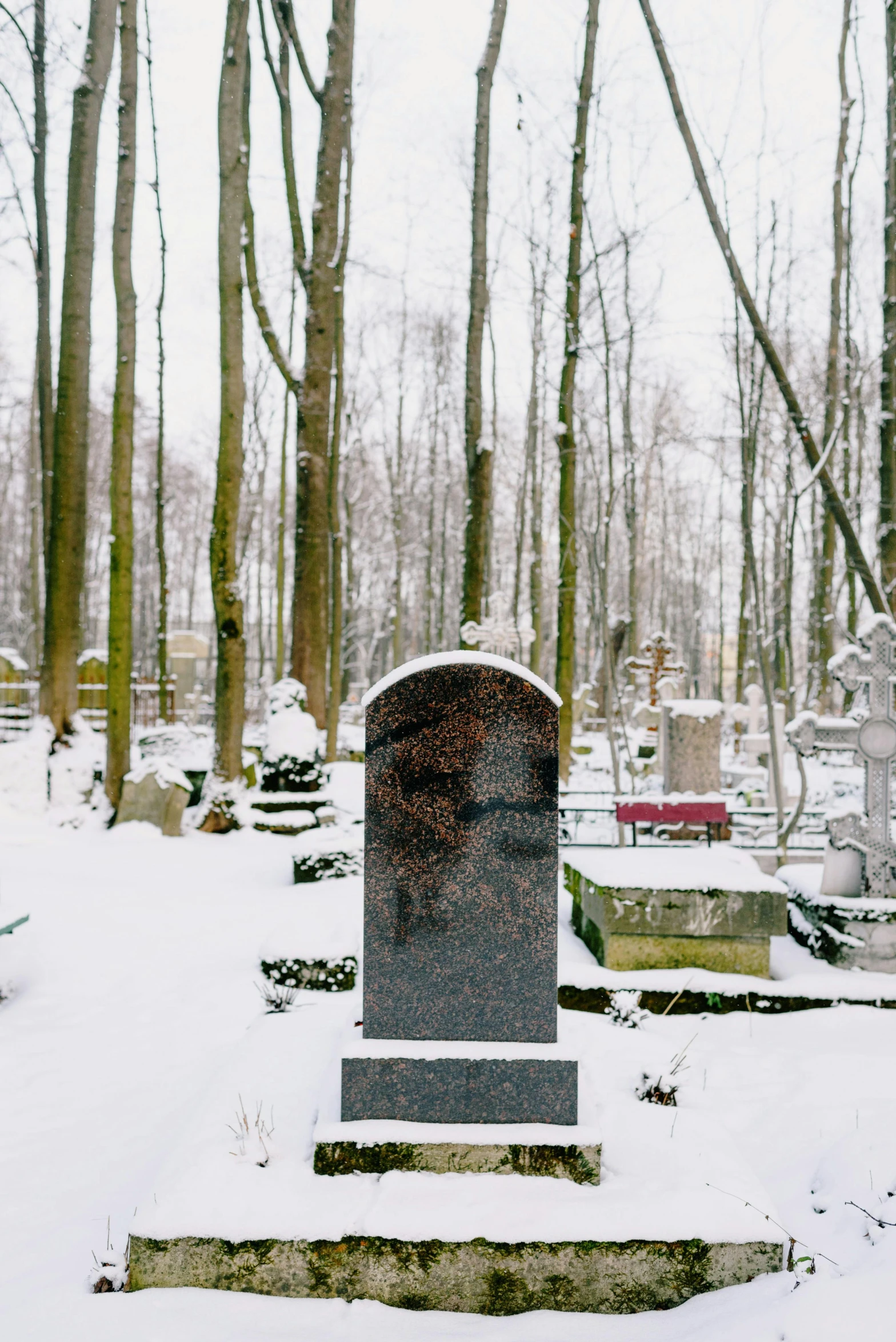 a cemetery with snow on the ground and trees in the background, vanitas, february)