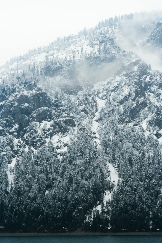 a mountain covered in snow next to a body of water, foggy forest, looking down from above, full trees, ca