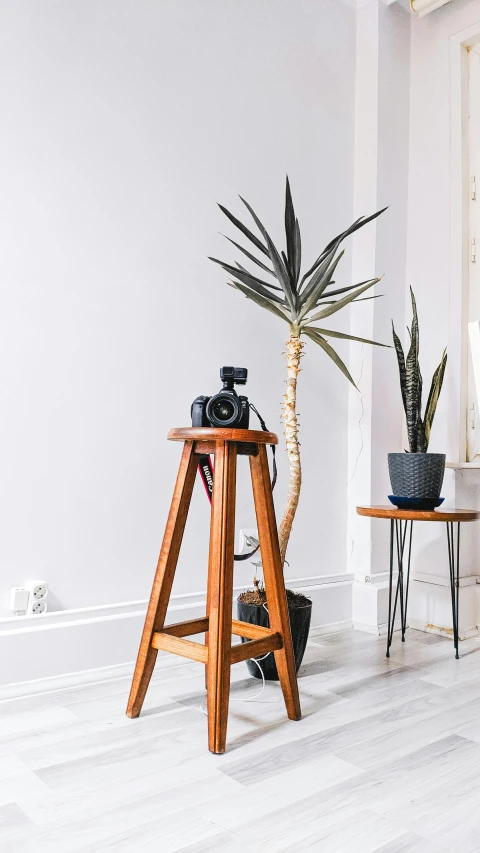 a living room filled with furniture and plants, by Andrew Allan, unsplash contest winner, postminimalism, sitting on a stool, studio camera, close up shot from the side, sony a 7 siii