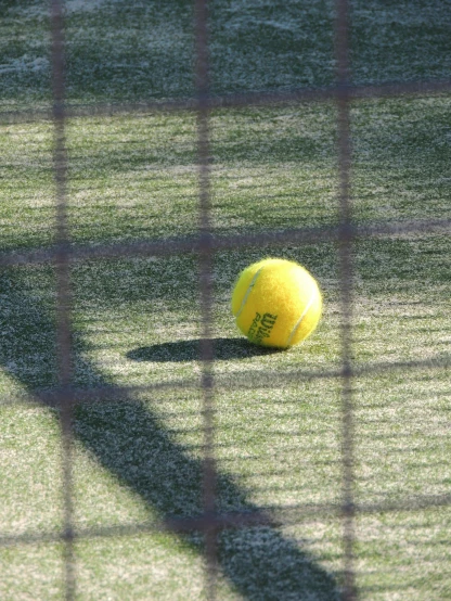 a yellow tennis ball sitting on top of a tennis court, a picture, looking partly to the left, lawn, profile image, netting
