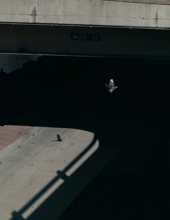 a man flying through the air while riding a skateboard, inspired by Elsa Bleda, unsplash contest winner, postminimalism, dark train tunnel entrance, bird\'s eye view, white dove, robot bird