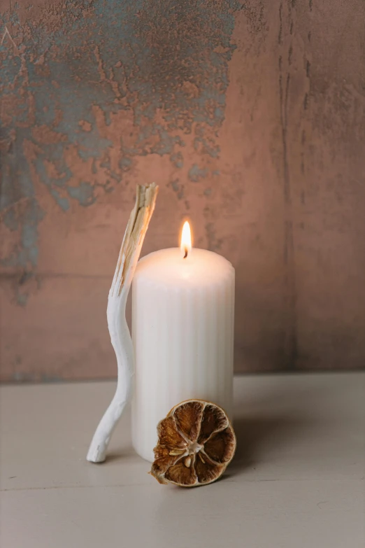 a white candle sitting on top of a table, organic ornament, citrinitas, medium portrait, soft light - n 9