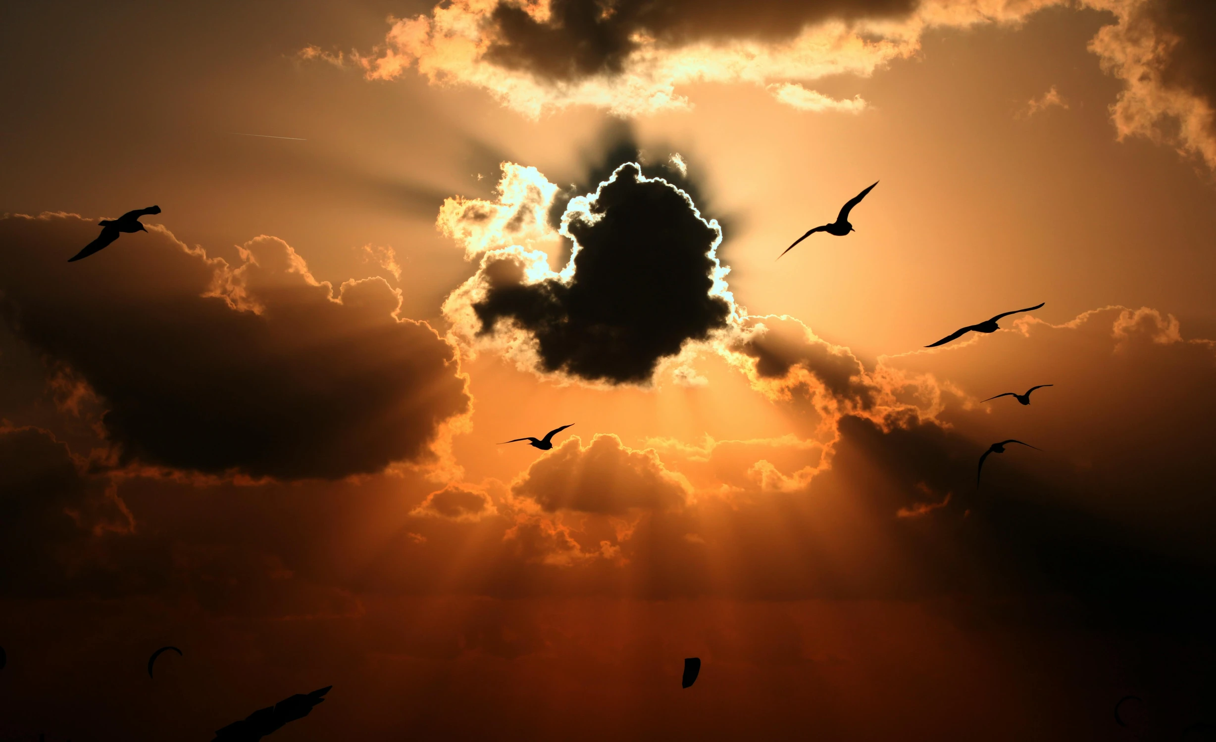 a group of birds flying through a cloudy sky, pexels contest winner, romanticism, ((sunset)), holy rays, hd wallpaper, smiling in heaven