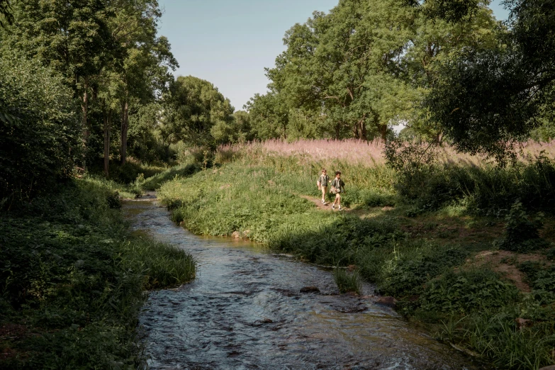 a small stream running through a lush green forest, a picture, unsplash contest winner, walking to the right, iowa, sydney park, dry river bed