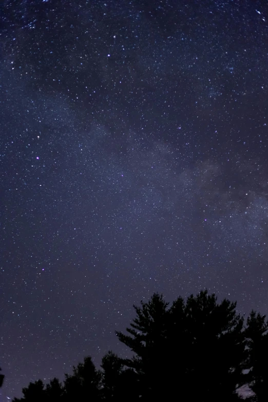 a night sky filled with lots of stars, a picture, trending on unsplash, light and space, rectangle, trees and stars background, milkyway light, medium closeup