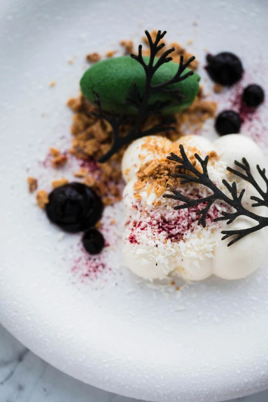 a close up of a plate of food on a table, inspired by Barthélemy Menn, white desert, manuka, dry ice, white and purple