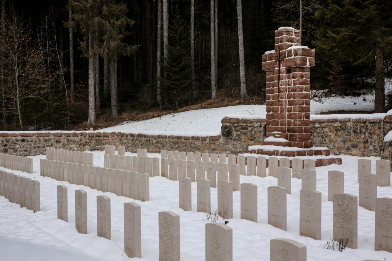 a cemetery covered in snow next to a forest, les nabis, trenches, preserved historical, slide show, highlights