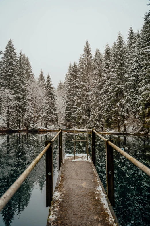 a bridge over a body of water with trees in the background, by Sebastian Spreng, pexels contest winner, winter lake setting, fir forest, multiple stories, clear water