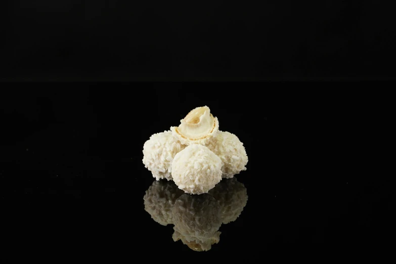 a close up of a piece of food on a table, on a black background, puffballs, ivory carved ruff, front facing