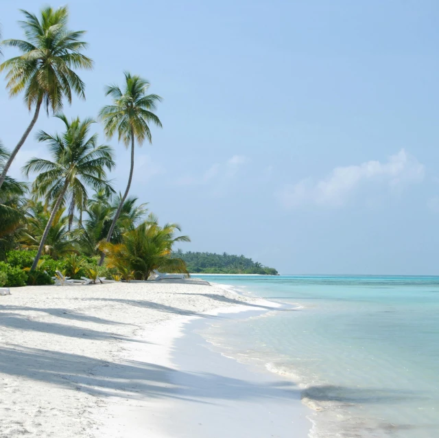 a beach with white sand and palm trees, pexels contest winner, hurufiyya, many islands, al fresco, dezeen, uk