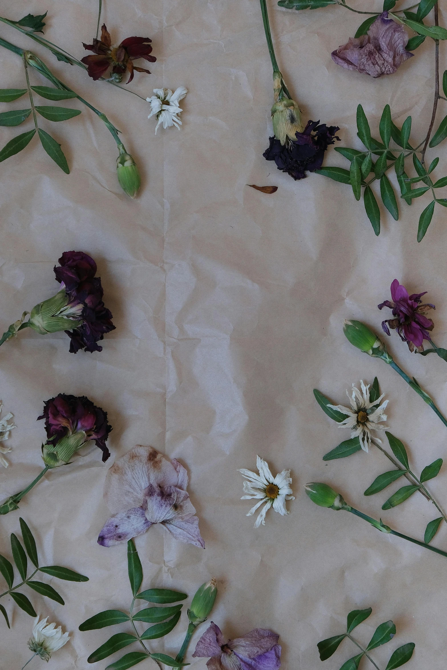 a table topped with lots of different types of flowers, by Jessie Algie, trending on unsplash, process art, faded parchment, scattered, walking down, dark. no text