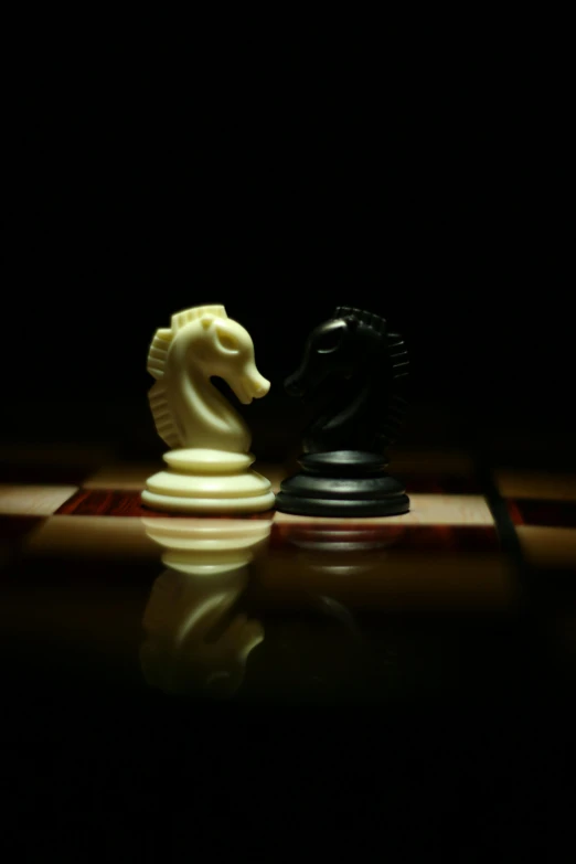 two chess pieces sitting on top of a chess board, a picture, by Greg Rutkowski, with a black background, profile pic, getty images, equine