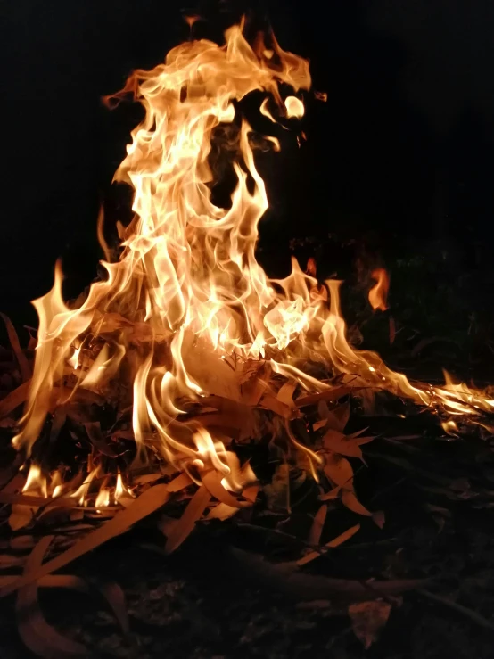 a close up of a fire on a black background, by Daniel Lieske, land art, holy ceremony, ignant, fuming effigy, college