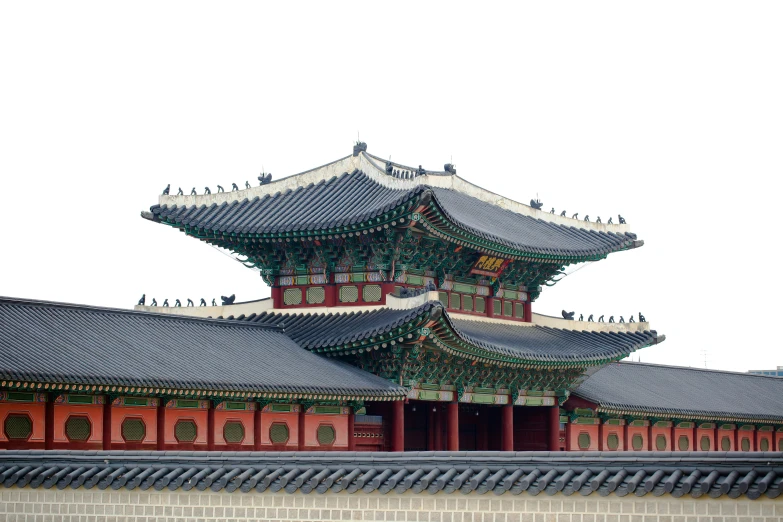 a group of birds sitting on top of a building, a picture, korean traditional palace, architecture and more, square, exterior