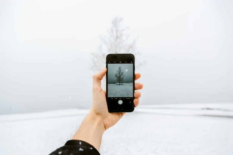 a person taking a picture of a tree in the snow, mobile learning app prototype, portrait featured on unsplash, under a gray foggy sky, holding it out to the camera