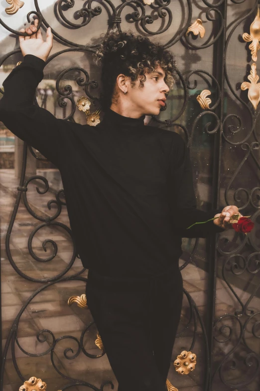 a man standing in front of a gate holding a rose, an album cover, pexels contest winner, renaissance, black turtleneck, beautiful young prince, black outfit, profile image