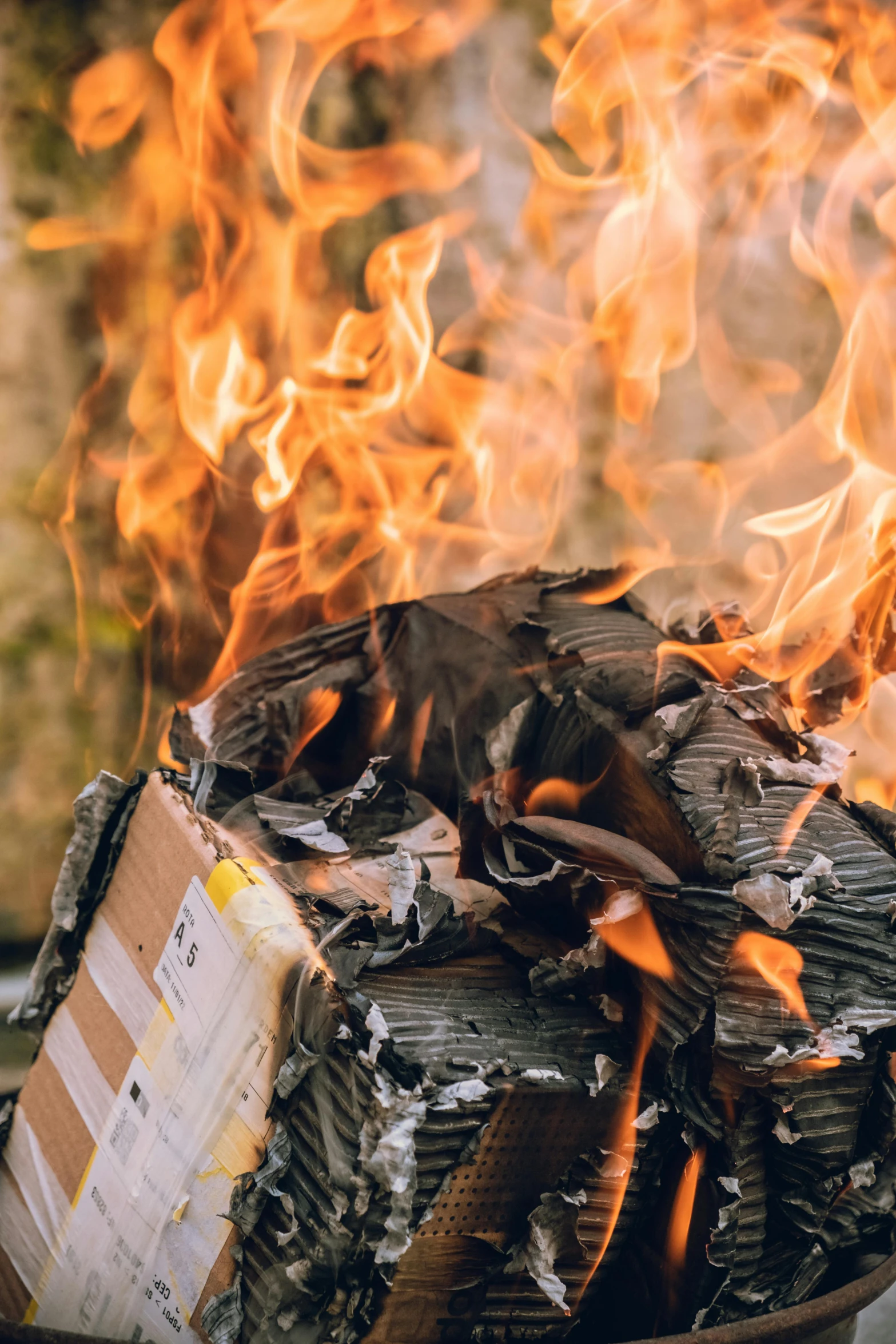 a pile of wood sitting on top of a fire pit, an album cover, pexels contest winner, renaissance, burnt paper, avatar image, fire warning label, profile picture