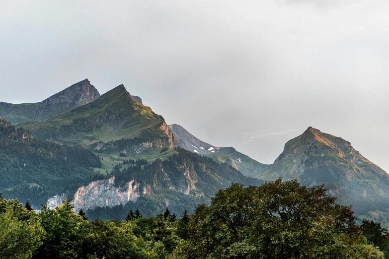 a herd of cattle grazing on top of a lush green field, a matte painting, by Daren Bader, pexels contest winner, lauterbrunnen valley, detailed trees and cliffs, distant mountains lights photo, panoramic
