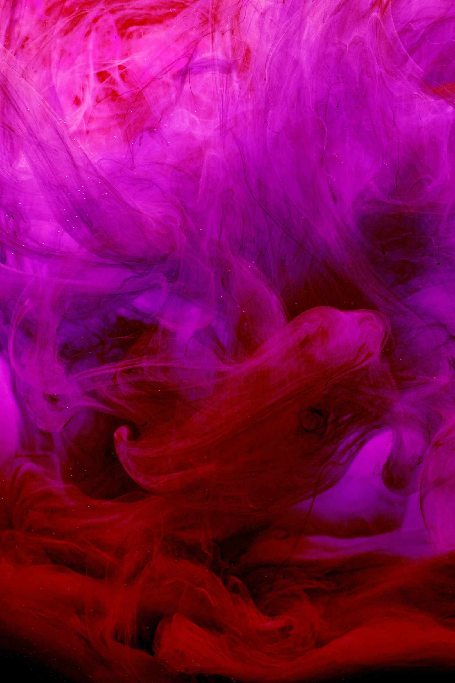 a red and purple smoke swirls in the air, inspired by Kim Keever, pexels, lyrical abstraction, purple and pink hair, made of liquid purple metal, closeup, magenta