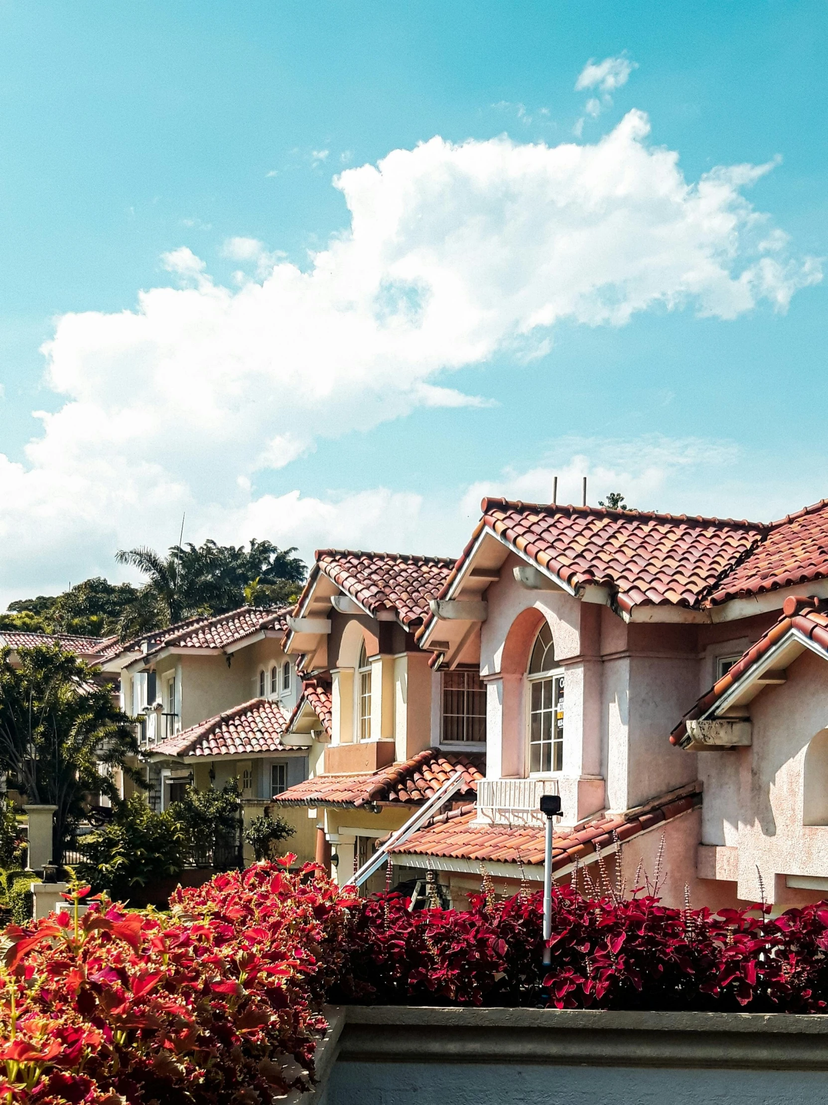 a couple of houses that are next to each other, unsplash, renaissance, roof with vegetation, miami beach, slide show, ad image