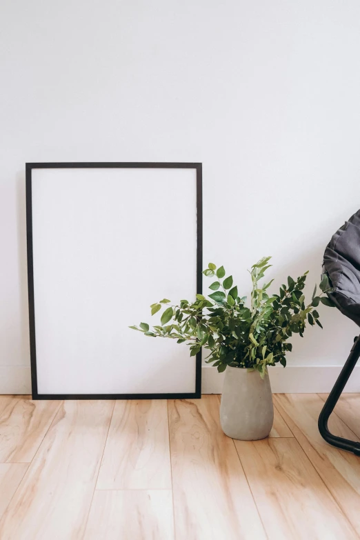 a chair sitting on top of a wooden floor next to a plant, a minimalist painting, trending on unsplash, square pictureframes, white backdrop, clean black outlines, iron frame