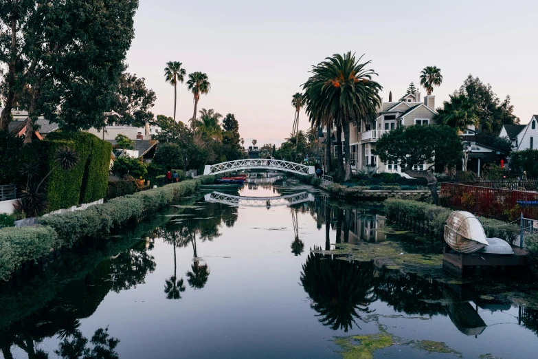a river running through a lush green forest filled with trees, a photo, by Ryan Pancoast, unsplash contest winner, renaissance, the city of santa barbara, with palm trees in the back, railing along the canal, at dusk at golden hour