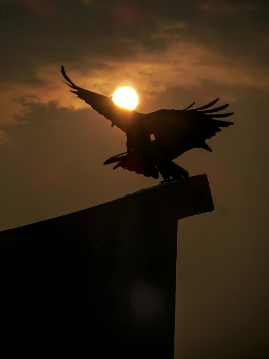 a bird that is sitting on top of a building, by Matt Stewart, pexels contest winner, during an eclipse, hawk wings, strong silhouette, museum quality photo