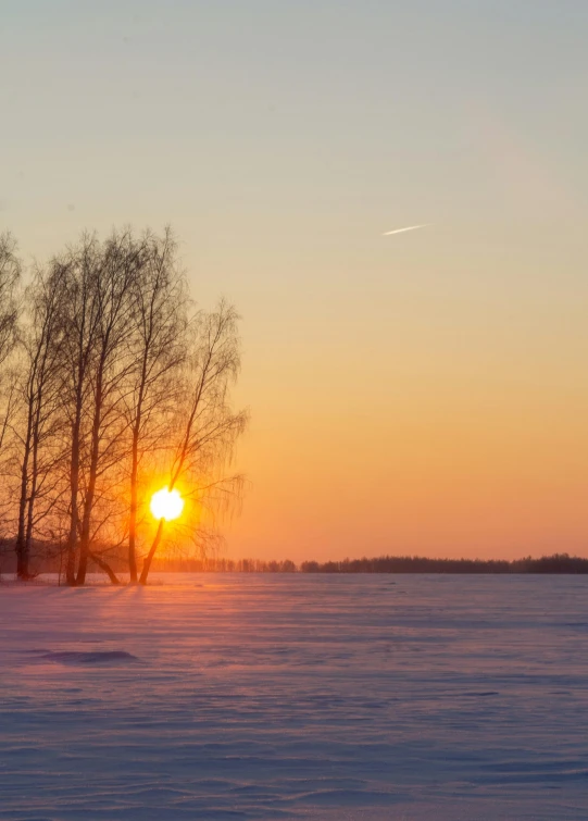 the sun is setting behind some trees in the snow, inspired by Eero Järnefelt, pexels contest winner, romanticism, today\'s featured photograph 4k, sunset panorama, high quality picture, snow field