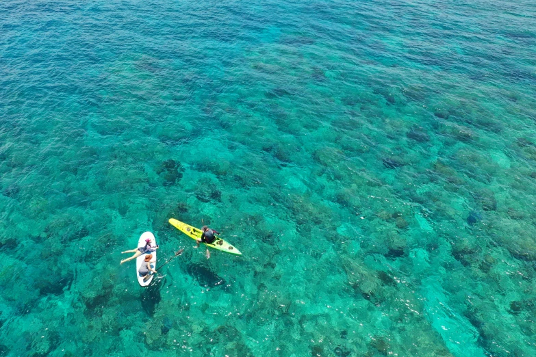 a couple of people riding paddle boards on top of a body of water, coral sea bottom, flatlay, conor walton, greg rutwoski