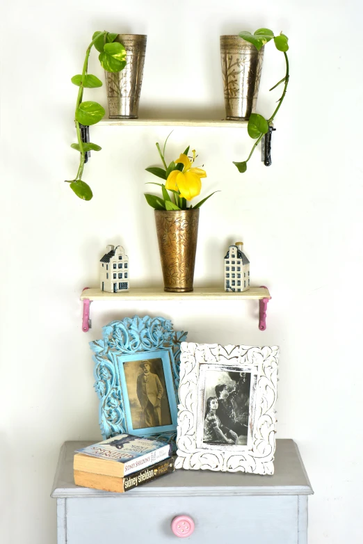 a shelf with a potted plant on top of it, a picture, lots of details, hero shot, ribbons and flowers, home display